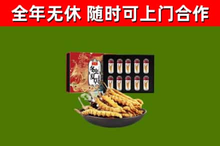 宁波市回收冬虫夏草价格